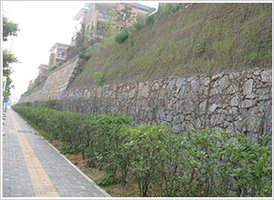 石籠護(hù)坡 石籠護(hù)坡
