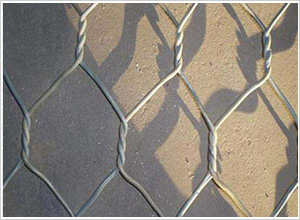 合金網(wǎng)兜 合金網(wǎng)兜